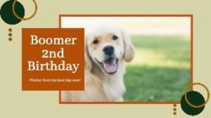 Boomer 2ndBirthday