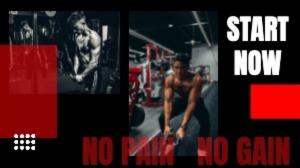 NO PAIN   NO GAIN