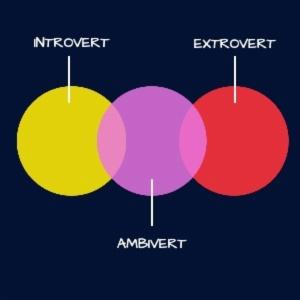 INTROVERT AMBIVERT E